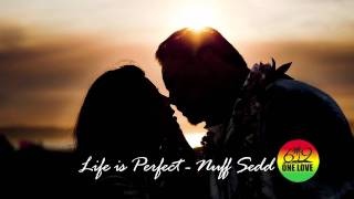 Video thumbnail of "Life is Perfect - Nuff Sedd"