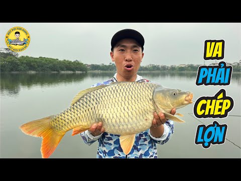 Săn Hàng Ở Hồ Đảo Cò Lâu Năm Không Cạn Nước?