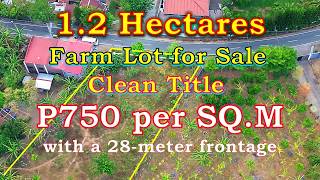 1.2 HECTARES FARM LOT FOR SALE (PROP# 232) SAN PABLO CITY, LAGUNA