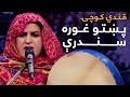 Top 5 Songs Of Qandi Kochi پنځه غوره پښتو سندرې قندي کوچۍ