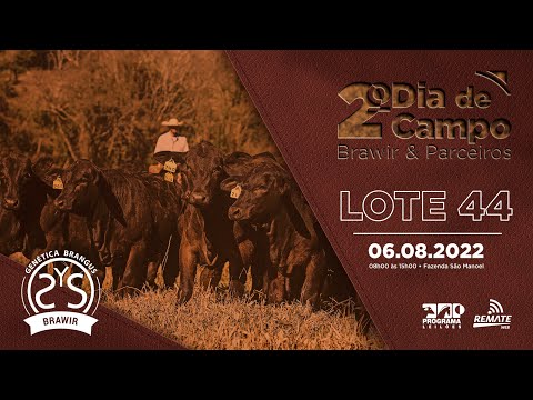 LOTE 44 A1109