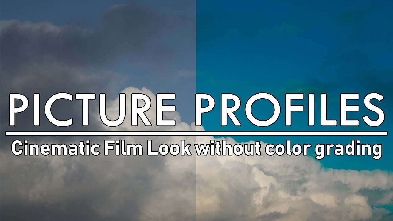 dslr picture style cinema dslr picture style cinema