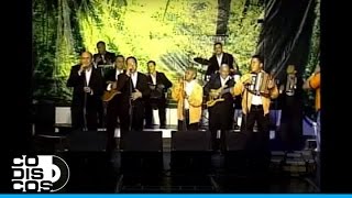 Video thumbnail of "Carmentea, Silvio Brito - En Vivo"