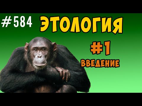 Этология и зачем ее изучать. Откуда берутся желания ?