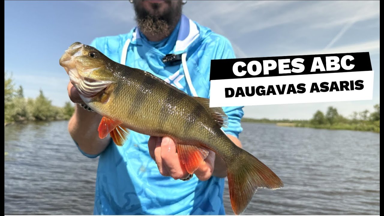 Copes ABC: Daugavas asaris