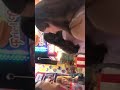 Twinkle twinkle little star lyric