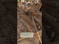 Precision Wood Cutting Process - Master Craftsmanship by Sanjaya Furniture
