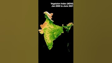 Vegetation Intensity from January 2000 to June 2021#shorts