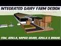 Integrated Dairy Farming Model Design | Cow, Azolla, Napier, Hydroponic Fodder Farm & Biogas Design