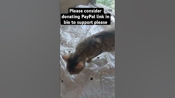 Please consider donating PayPal link in bio to support please #pleasedonate #fundly #fundme #support