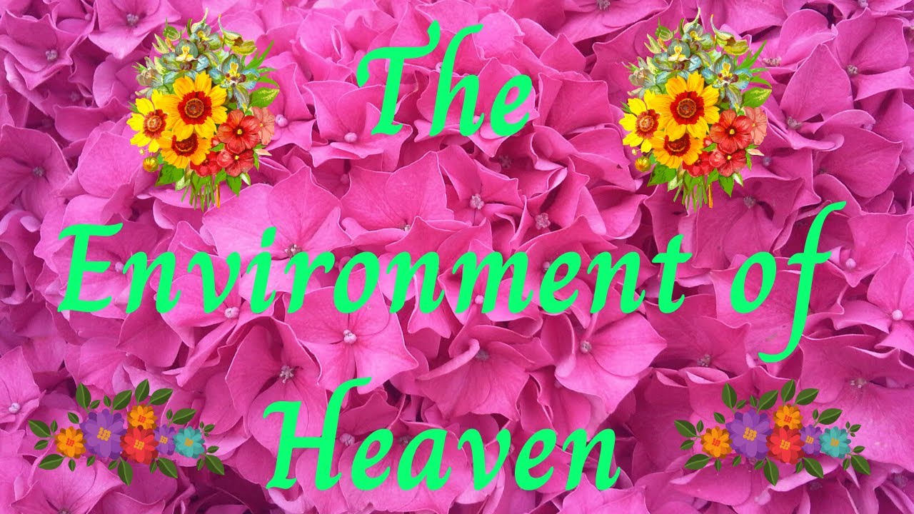 11. Environment MATTHEW TELL ME ABOUT HEAVEN An Accurate Description of the Surroundings in Heaven!
