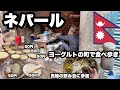 【ネパール旅】ヨーグルトの町で食べ歩き/ ズーズーダウというヨーグルトの王様を探す/ 晩御飯はネワール族の飲み会に入れてもらい、美味しいネパール料理をダルバードで頂く