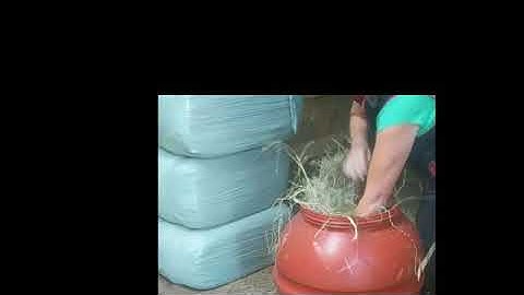 HAYmer feeder, Horse Hay feeder, slow hay net feeder