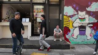 4K NYC Chinatown Walking Mott St. to Pell St. Subscribe for more! #walkingvideo #walking #nyc