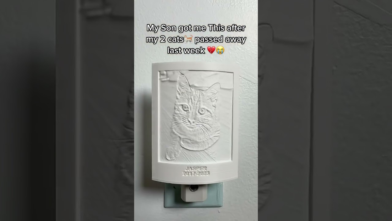 Olivia’s 2 New Cat Memorial Lights 