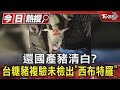 還國產豬清白?台糖豬複驗未檢出「西布特羅」｜TVBS新聞 @TVBSNEWS01