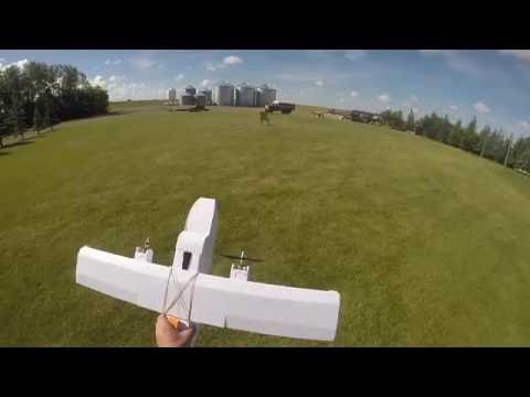 FT Mini Guinea Pig - An exercise in differential throttle