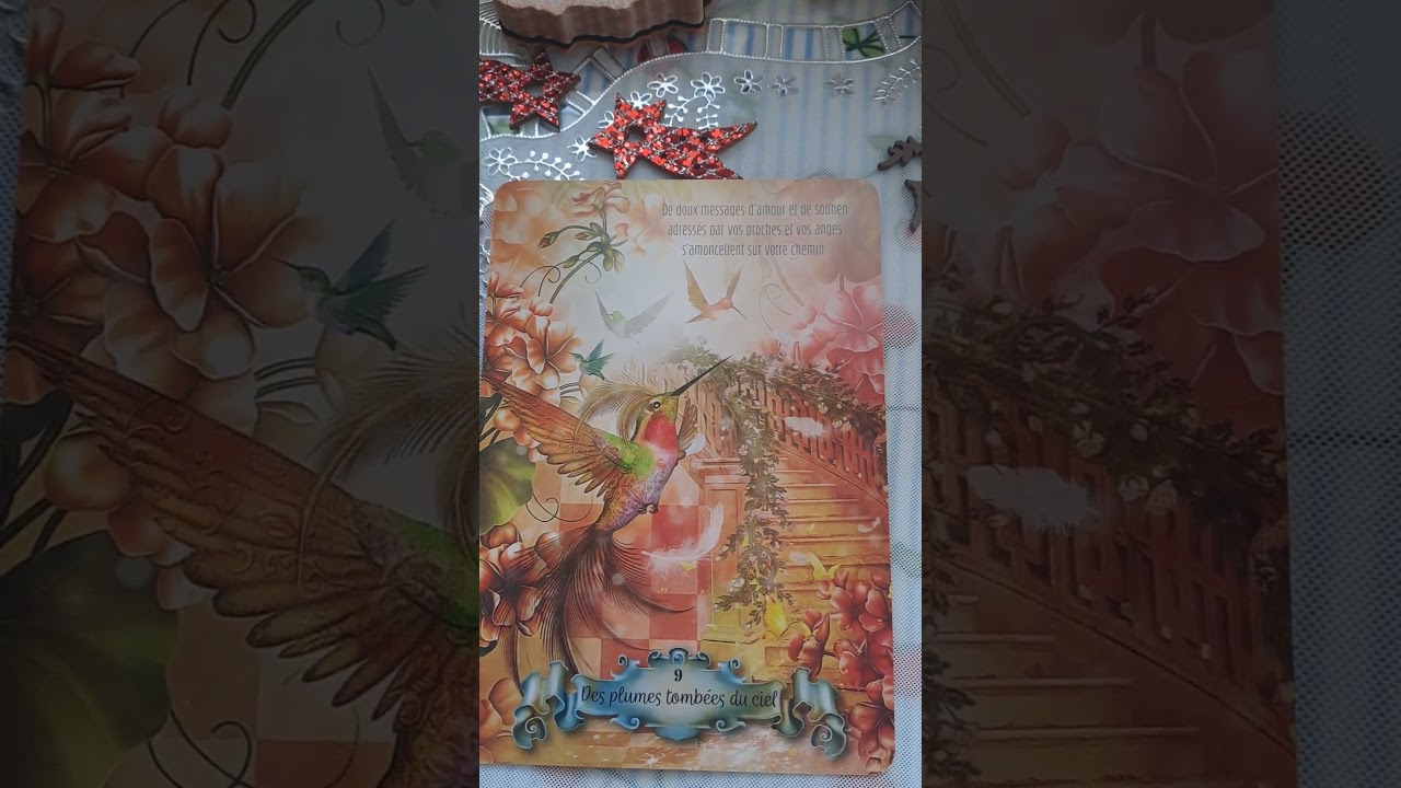 doux messages 🐦🦜🦢