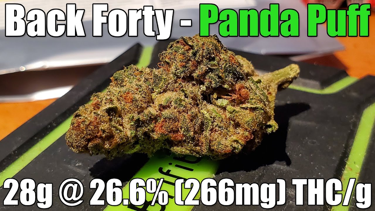 Back Forty - Panda Puff - Unboxing Review - 28g @ 26.6% (266mg) THC/g (+Extreme Closeups)