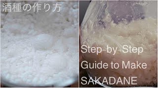 酒種の作り方 | Step-by-Step Guide to Make SAKADANE