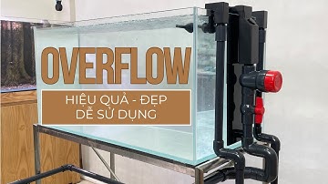 Cách biến bể cá dấu keo thành bể công nghệ mới với bộ IN-OUT OVERFLOW (Phần 1) - Unbox & giới thiệu