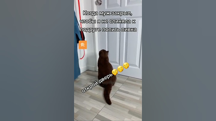 Открой дверь