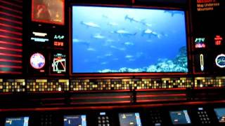 MVI_3886.AVI