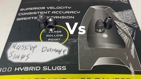 FX hybrid slugs vs H&N crow magnums expansion in water