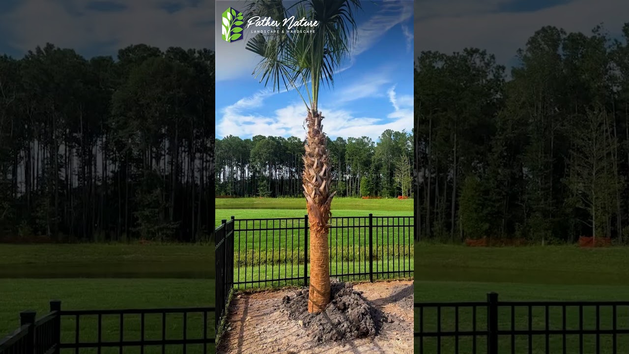 Quality Backyard Transformation completed by Experts in Bluffton SC! #enjoylifeoutdoors