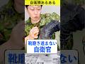 靴磨きが進まない自衛官【自衛隊あるある】