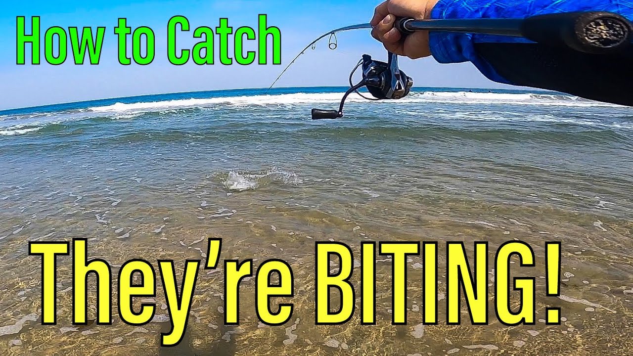 How to Sight Fish Corbina in SoCal Surf [Bait, Rig, Structure] - YouTube