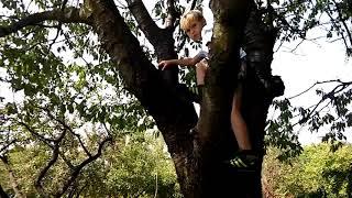 Zrub To Czelencz 2Seria