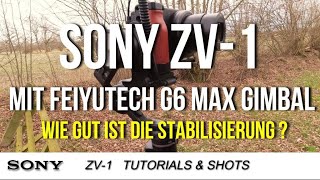 SONY ZV-1 & FeiyuTech G6 MAX- Super Stabilisierung