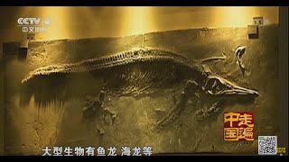远古巨兽消失谜 【走遍中国20150830 】720P
