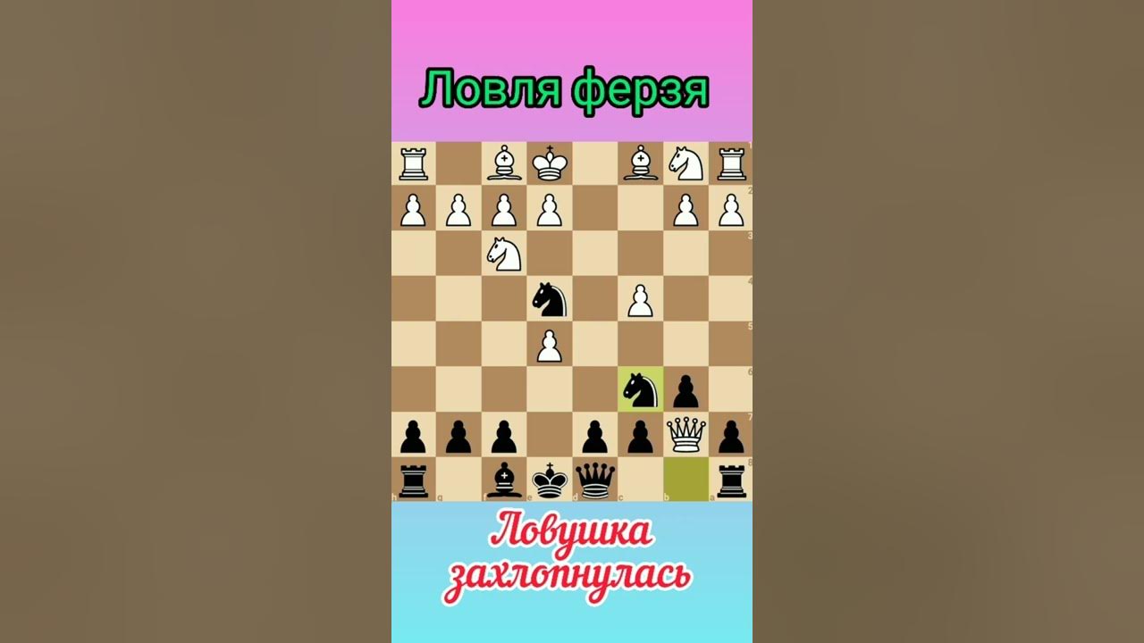 Королевский гамбит за черных. Сицилианская защита. Сицилианская защита за белых. Мат Легаля. Жертва ферзя ради пата 265.