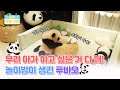 [판다로그] 아기판다 난생 처음 놀이방에 데려갔더니ㅋㅋㅋㅋ | 에버랜드 판다월드 푸바오 (Baby Panda 'FuBao')