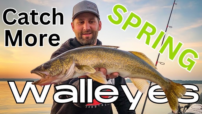 Top Walleye Baits for Ontario 
