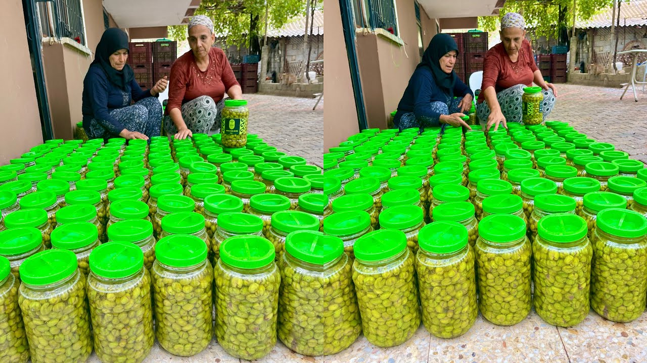 BİDON BİDON YAPILAN İNANILMAZ LEZZET | HÜSEYİN AMCA İLE FİLİZ YENGENİN KÖY EVİ TAZE ZEYTİN HASADI