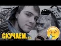 История котика Кузи | самый лучший кот