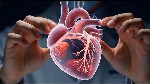 How Artificial Organs Are Made Today: Inside the 3D Bioprinting Lab