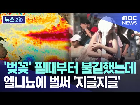 &amp;#39;벚꽃&amp;#39; 필때부터 불길했는데 엘니뇨에 벌써 &amp;#39;지글지글&amp;#39; [뉴스.zip/MBC뉴스]