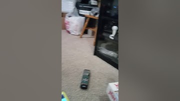 DKP and the Adobe Flash Shutdown Experience in Fort Worth