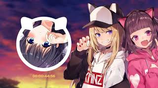 Nightcore   MISSING KITTY