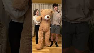 I Put My Little Sister In A Teddy Bear Costume