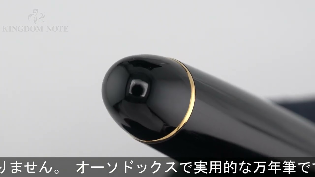 PLATINUM プラチナ 万年筆 #3776 センチュリー ブラックインブラック