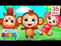 O Macaquinho Mandou, Joãozinho + Mais | Canal do Joãozinho - Little Angel Português