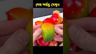 mango 🥭😻 #ytshorts #facts #sohrtfeed #craft #shorts