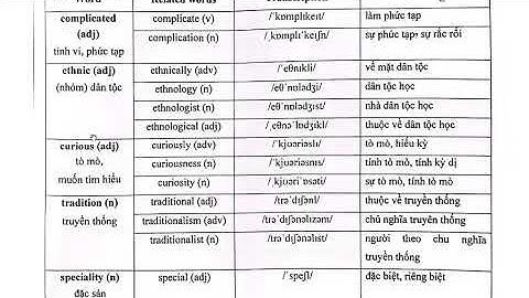 ENGELSE VOCABULAIRE 8 WERELDWIJD SUCCES (EENHEID 4 ETNISCHE GROEPEN VAN VIETNAM)
