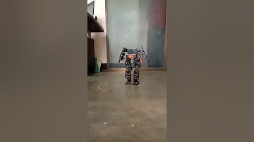 Biped 17 DOF Robot Walking