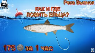 🌟Русская Рыбалка 4 (RF4)🌟река Вьюнок🌟КАК И ГДЕ ЛОВИТЬ ЕЛЬЦА?🌟